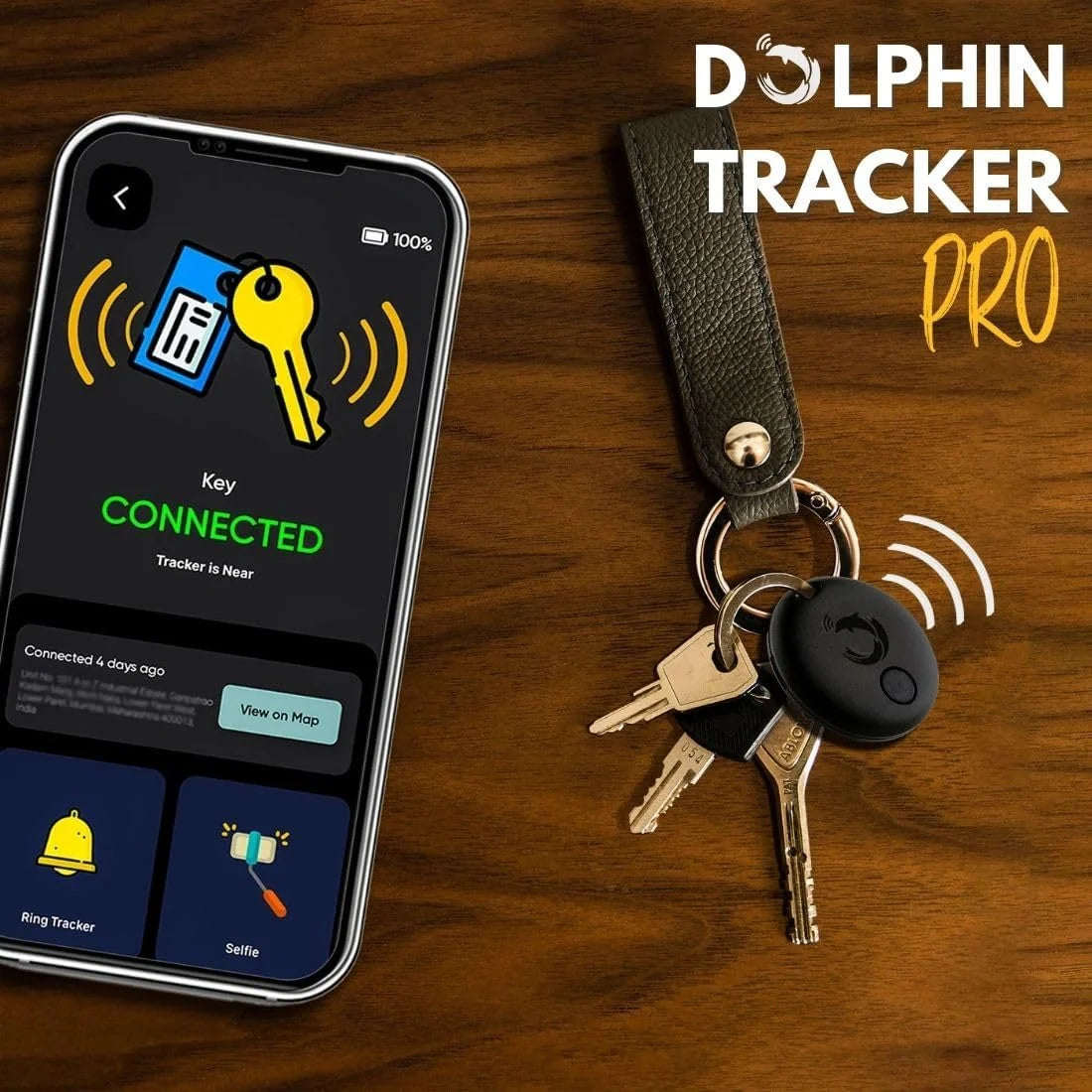 Dolphin Pro